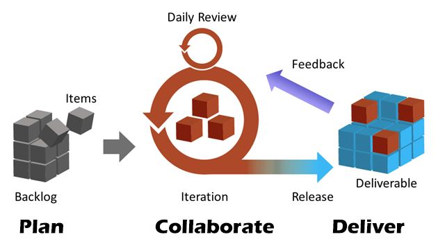 Project Management